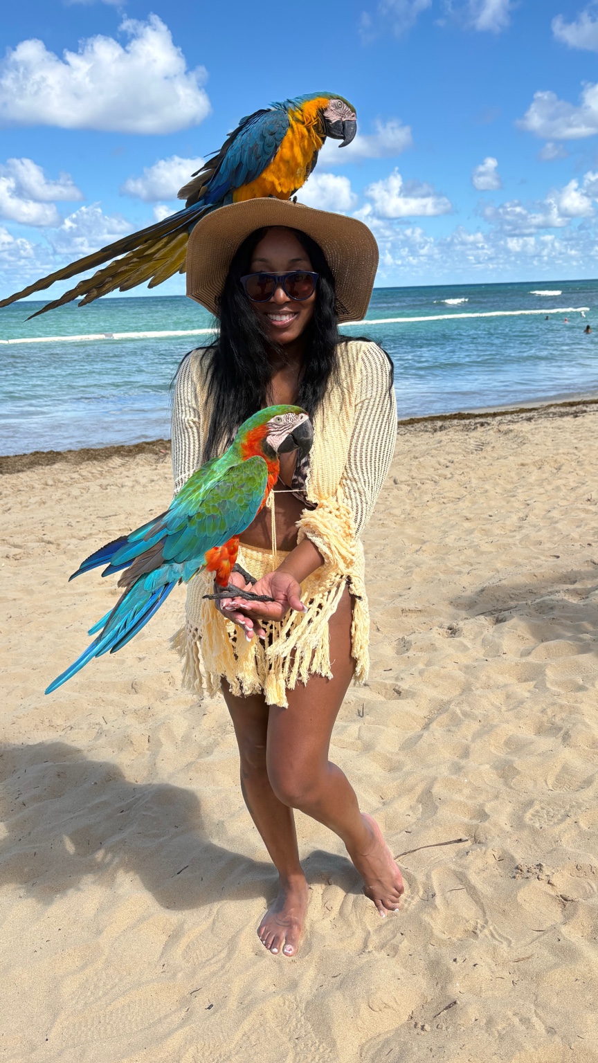 Tropical travel with exotic birds